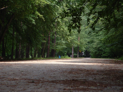 Parking Rezerwat na Złotej Górze