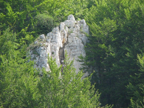 W Dolinie Będkowskiej.