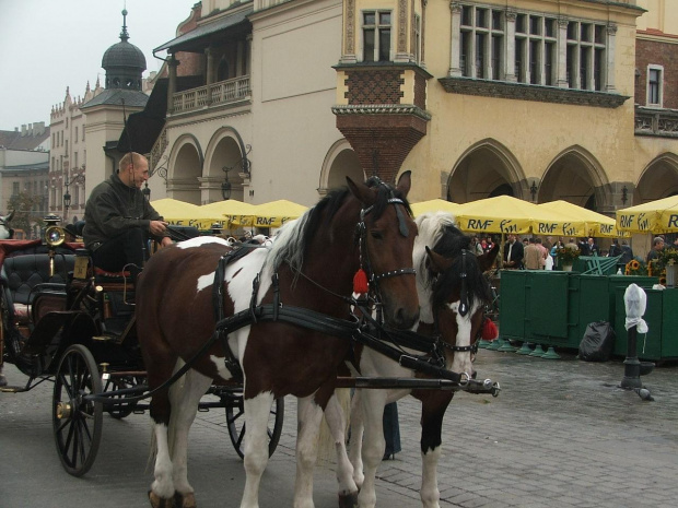 Kraków