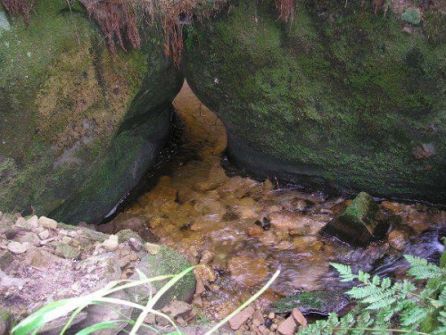 Adrspaskie skały. Czechy