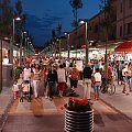 Biobione nocą - ok.23.00