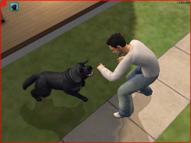 Bartek i Bombel ( nowofunland - moja ulubiona rasa psa. xD ) #Sims2 #Zwierzaki