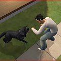 Bartek i Bombel ( nowofunland - moja ulubiona rasa psa. xD ) #Sims2 #Zwierzaki