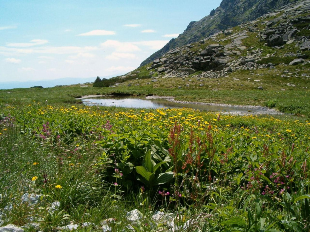 Wielicki Ogród #Tatry