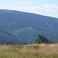 Beskid Żywiecki- Pasmo Jałowieckie. Czerniawa sucha(1062m.n.p.m.), Beskidek(1044),Hala Kamińskiego, Mędralowa(1169) Hala Mędralowa, Jaworzyniec(997). #BeskidŻywiecki #Jałowiec #Mędralowa #HalaKamińskiego #HalaMędralowa #CzerniawaSucha