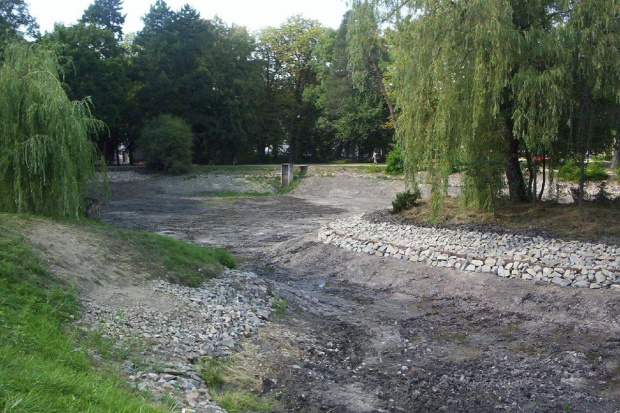 Wieliczka- Czyszczenie stawu w parku A.M