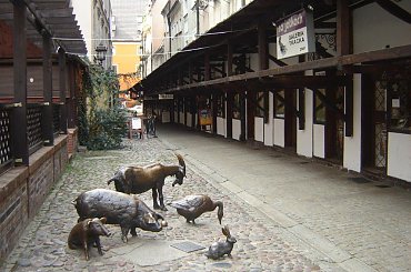 #Slask #Schlesien #DolnySlask