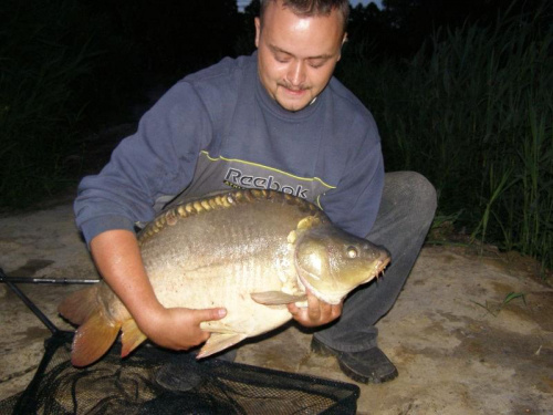 slawek kaper73cm