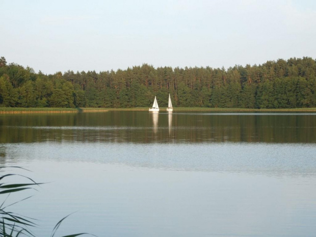 Piękno mazurskiej przyrody widziane oczami żeglarza... #Wakacje #urlop #Mazury #przyroda