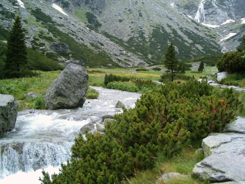 Łomnicki Ogród #Tatry