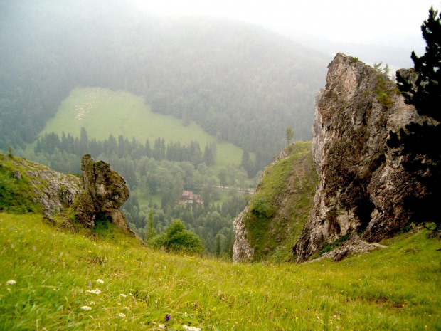 w dole droga do Kuźnic #Tatry