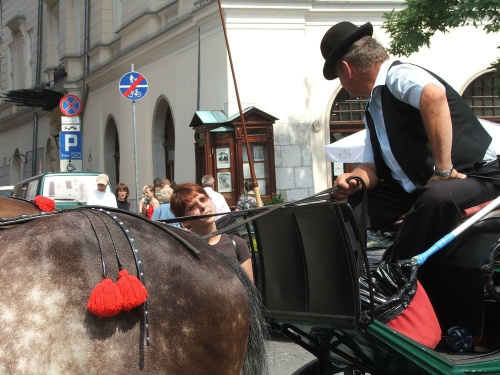 zaczarowana dorożka, zaczarowany dorożkarz... #KrakówWakacje