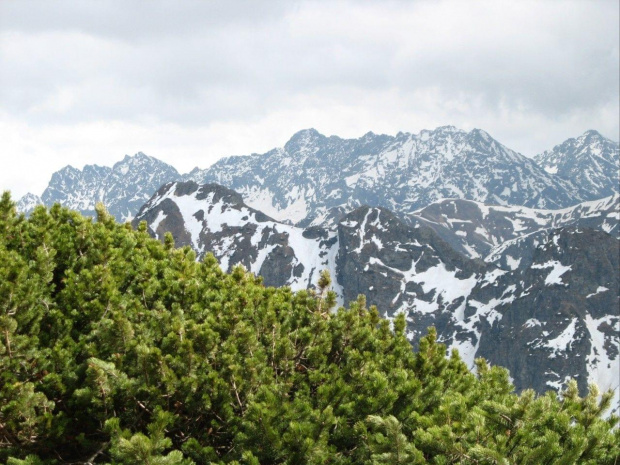 Tatry