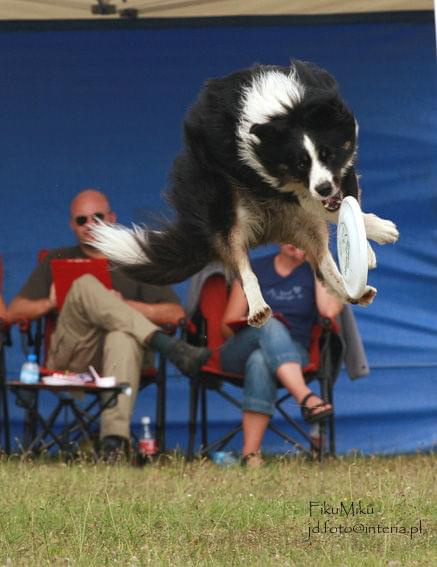 #SopotFrisbee