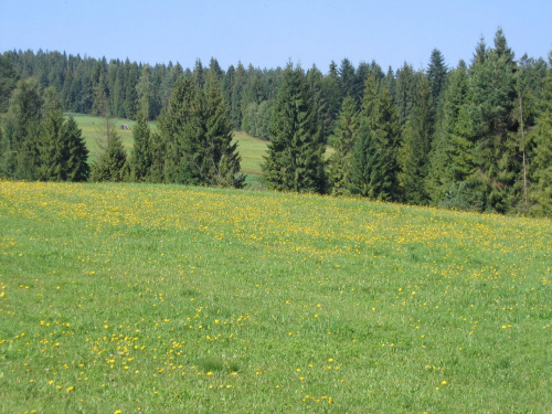 Mochnaczka i okolice