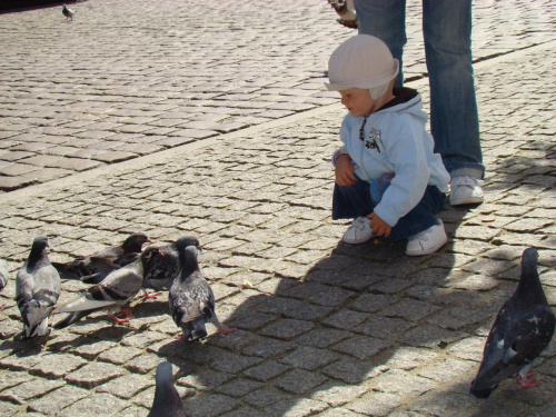 wycieczka do Torunia