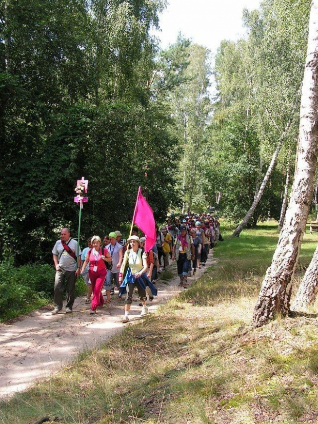 Pielgrzymka piesza Grupa Teczowa A. D. 2007. 29 lipca - 12 sierpnia z Kostrzyna nad Odrą na Jasną Górę. Tegoroczna liczyła 96 uczestników i znów przeszła ponad 440 kilometrów... #PielgrzymkaWakcje