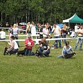 23.VI.2007 #WystawyPsów