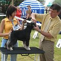 23.VI.2007 #WystawyPsów
