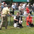 23.VI.2007 #WystawyPsów
