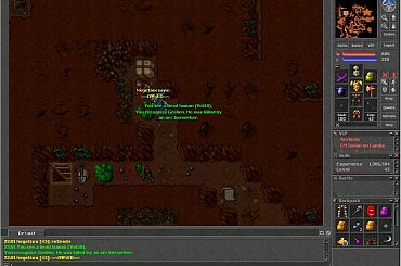 #Tibia
