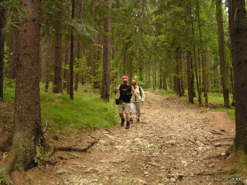 Wąwóz Sucha Bela w Słowackim Raju. Sierpień 2007r. #SuchaBela #SłowackiRaj