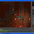 #Tibia