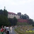 Widok z bulwaru na Wawel