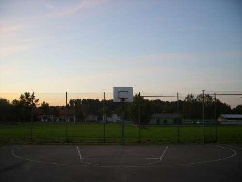 basketball 5