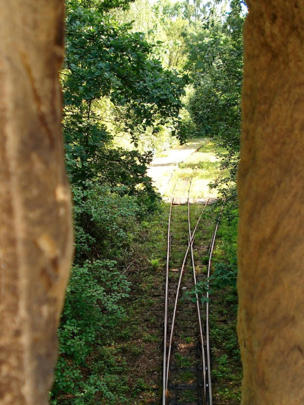 Widok na tory #Park #Chorzów