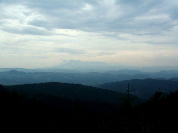 Ostatni widok na Tatry- zejście z Radziejowej