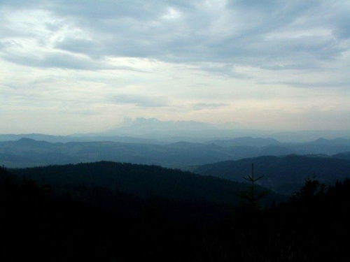 Ostatni widok na Tatry- zejście z Radziejowej