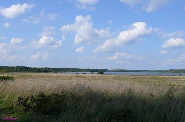 Jezioro Warnołty #JezioroWarnołty #Warnołty #Mazury