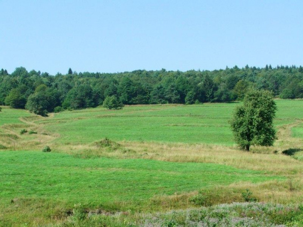 Beskid Niski