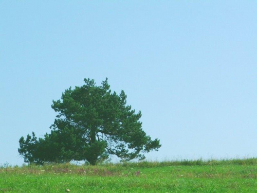 Beskid Niski