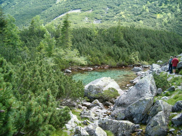 Żabie pliesko w Dol. Spalonej #Tatry #góry