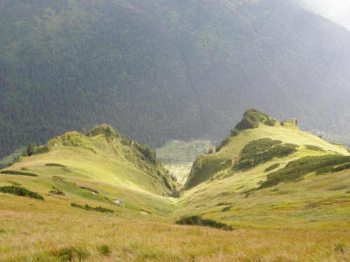 tatry