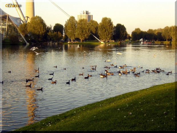 Dzisiejsze popoludnie spedzone w Olimpiapark