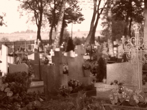 Trochę cmentarnie #cmentarz #groby