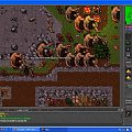 Tibia #tibia