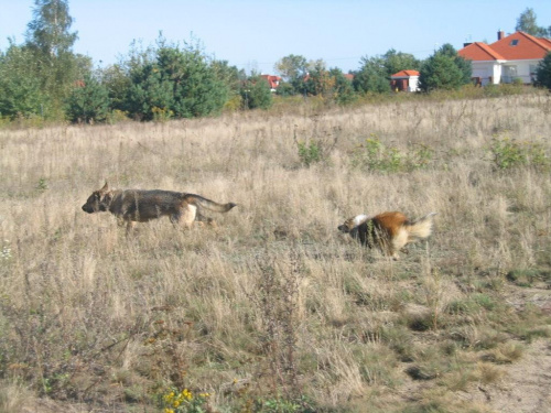 Ita bawi się z Pumą nr.3