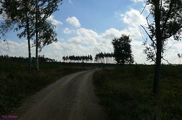 Puszcza Piska #PuszczaPiska #Mazury #OkoliceLasuSzast