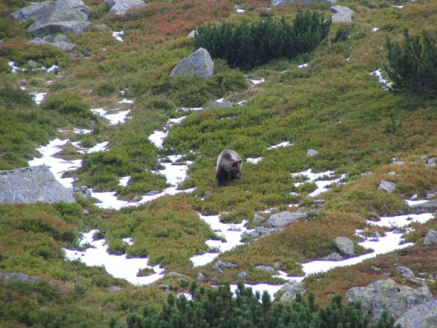 tatry-lato2007