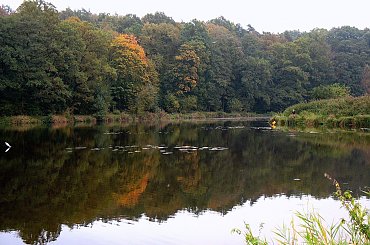 Jesień, przyroda, Koluszki, Lisowice, zbiornik #Jesień #przyroda #Koluszki #Lisowice #zbiornik