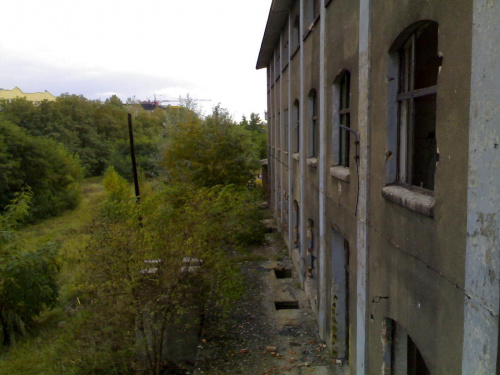 Pavlov 67